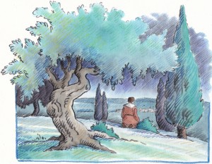 Jardin des Oliviers - Parcours 